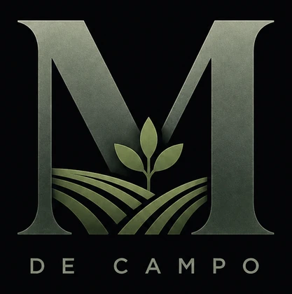 Memoria de Campo